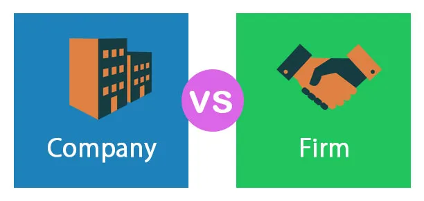 Unternehmen vs Firma - Top 5 der nützlichsten Unterschiede (mit Infografiken)