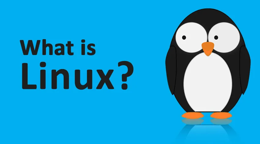 Kaj je Linux? - Arhitektura Linuxa S svojimi uporabnostmi in prednostmi