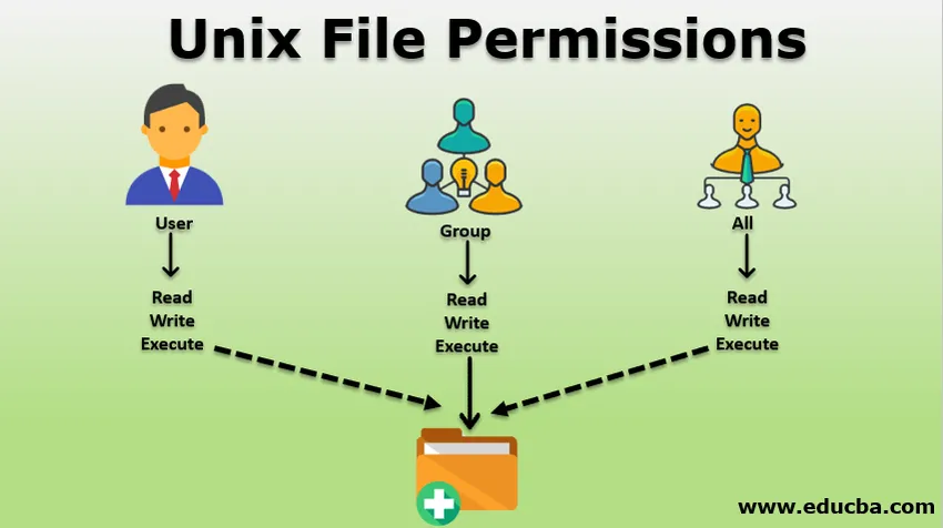 Unix file permissions. Команды Юникс. Permissions to files. Логин (Unix). Group permissions